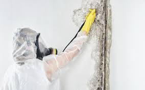 Best Dehumidification Services  in Port Washington, NY